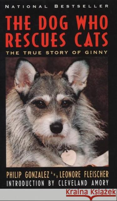 The Dog Who Rescues Cats: True Story of Ginny, the