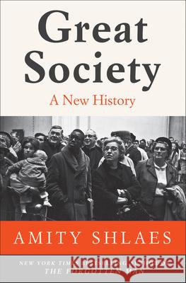 Great Society: A New History