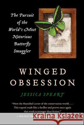 Winged Obsession