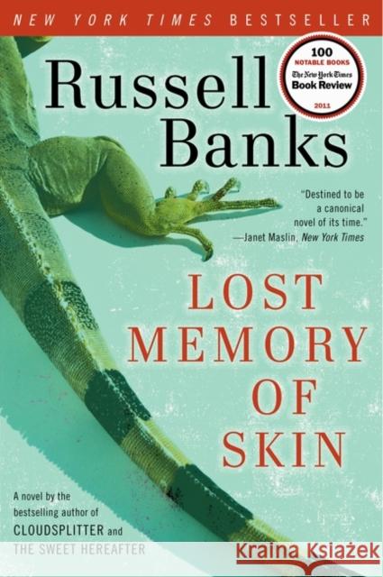 Lost Memory of Skin