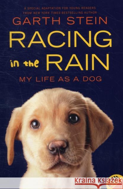 Racing in the Rain: My Life as a Dog