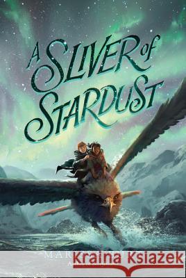 A Sliver of Stardust