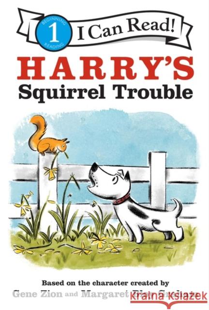 Harry's Squirrel Trouble