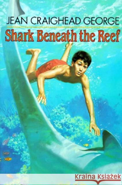 Shark Beneath the Reef