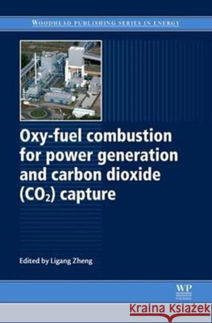 Oxy-Fuel Combustion for Power Generation and Carbon Dioxide (Co2) Capture