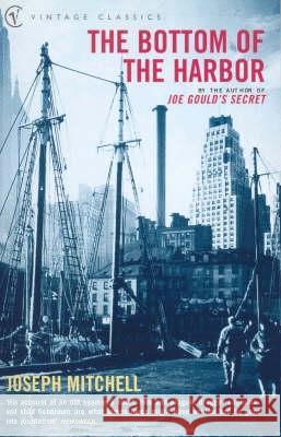 The Bottom Of The Harbor