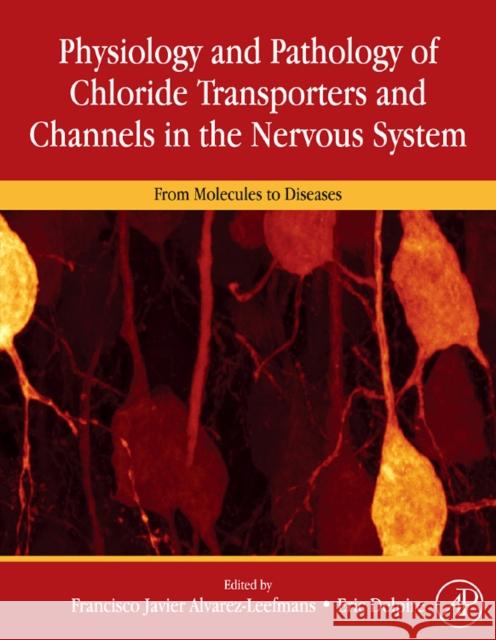 Physiology and Pathology of Chloride Transporters and Channels in the Nervous System: From Molecules to Diseases