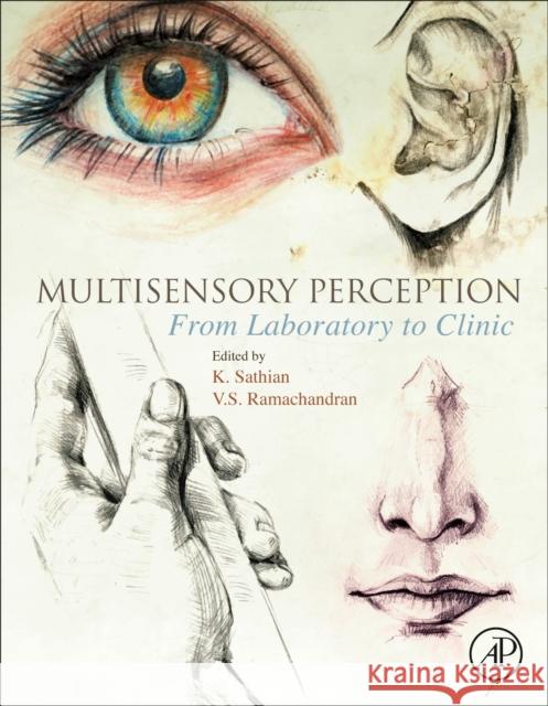 Multisensory Perception: From Laboratory to Clinic