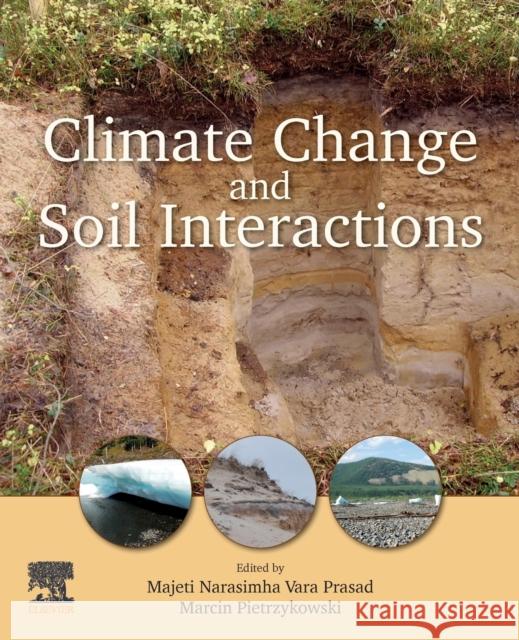 Climate Change and Soil Interactions