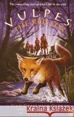 Vulpes, the Red Fox