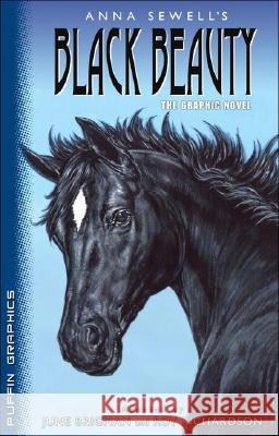Puffin Graphics: Black Beauty