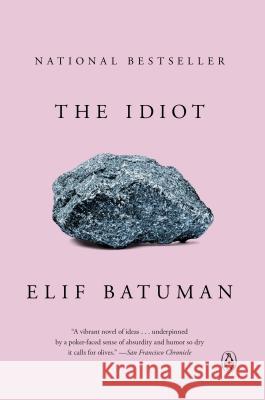 The Idiot