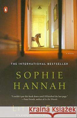 Little Face: A Zailer and Waterhouse Mystery