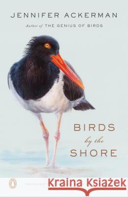 Birds by the Shore: Observing the Natural Life of the Atlantic Coast