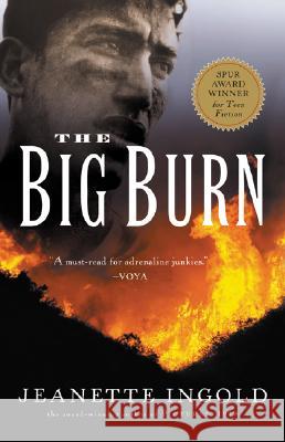 The Big Burn
