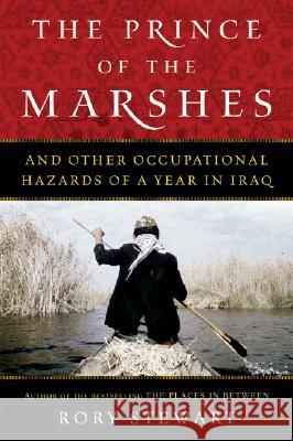 The Prince of the Marshes: And Other Occupational Hazards of a Year in Iraq