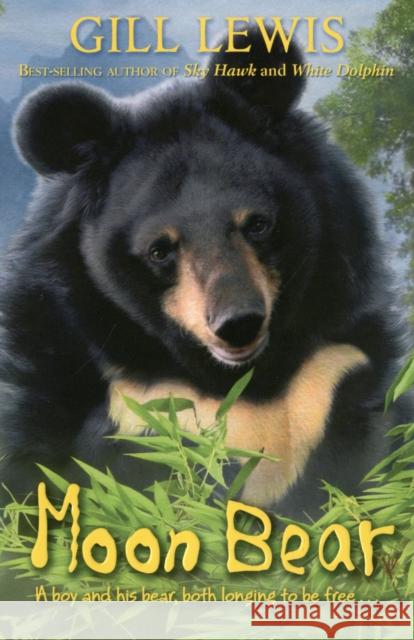 Moon Bear