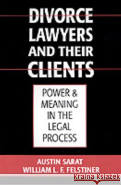 Divorce Lawyers and Their Clients: Power and Meaning in the Legal Process