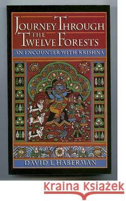 Journey Through the Twelve Forests: An Encounter with Krishna