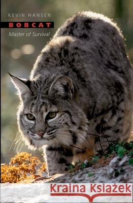 Bobcat: Master of Survival