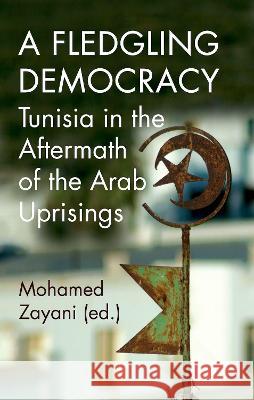 A Fledgling Democracy: Tunisia in the Aftermath of the Arab Uprisings