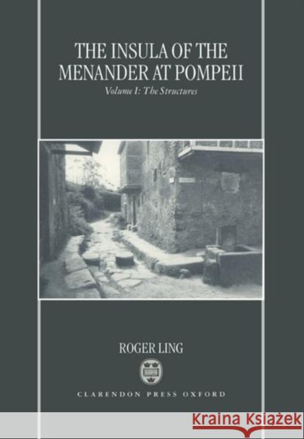 The Insula of the Menander at Pompeii: Volume I: The Structures Volume 1: The Structures
