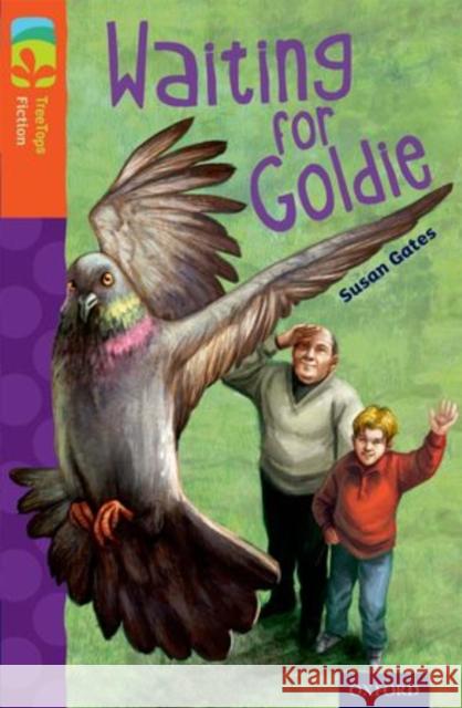 Oxford Reading Tree TreeTops Fiction: Level 13: Waiting for Goldie