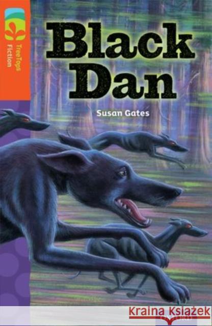 Oxford Reading Tree TreeTops Fiction: Level 13 More Pack A: Black Dan