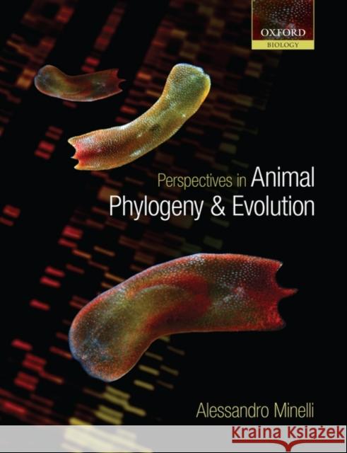 Perspectives in Animal Phylogeny and Evolution