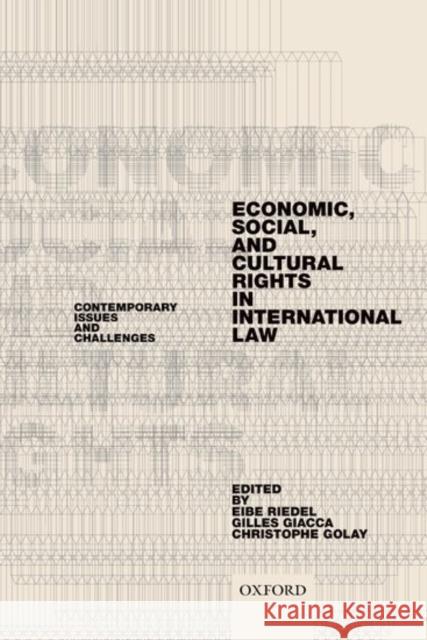 Economic, Social, and Cultural Rights in International Law: Contemporary Issues and Challenges