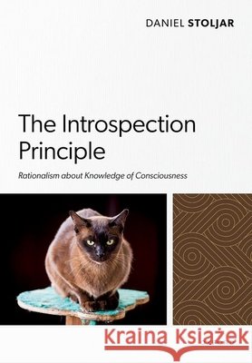 The Introspection Principle