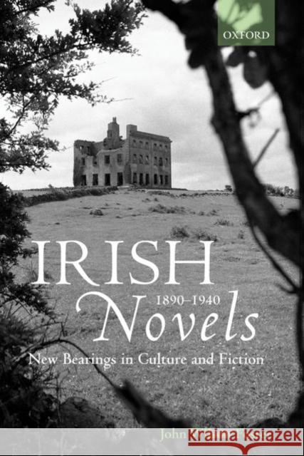 Irish Novels 1890-1940: New Bearings in Culture and Fiction