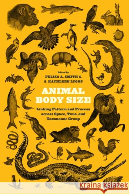 Animal Body Size: Linking Pattern and Process Across Space, Time, and Taxonomic Group