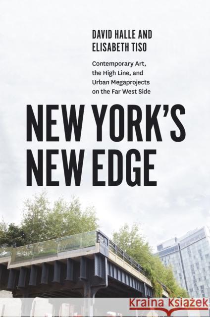 New York's New Edge: Contemporary Art, the High Line, and Urban Megaprojects on the Far West Side