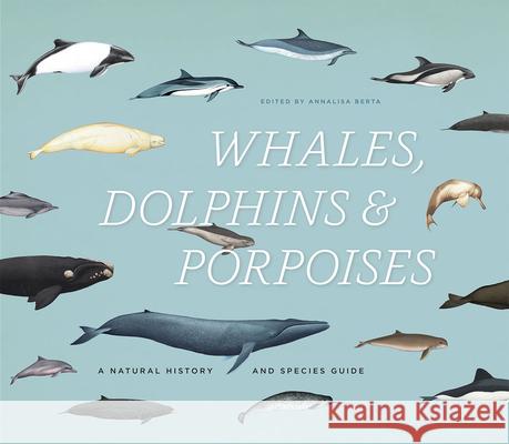 Whales, Dolphins & Porpoises: A Natural History and Species Guide