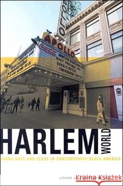 Harlemworld: Doing Race and Class in Contemporary Black America