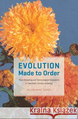 Evolution Made to Order: Plant Breeding and Technological Innovation in Twentieth-Century America