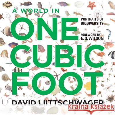 A World in One Cubic Foot: Portraits of Biodiversity
