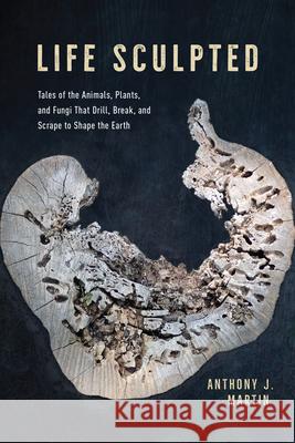 Life Sculpted: Tales of the Animals, Plants, and Fungi That Drill, Break, and Scrape to Shape the Earth