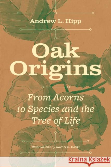 Oak Origins: From Acorns to Species and the Tree of Life