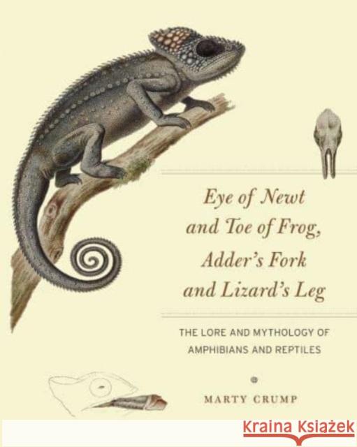 Eye of Newt and Toe of Frog, Adder's Fork and Lizard's Leg: The Lore and Mythology of Amphibians and Reptiles