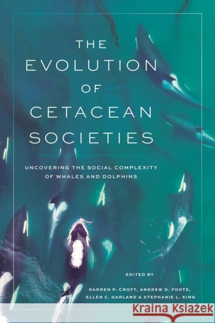 The Evolution of Cetacean Societies: Uncovering the Social Complexity of Whales and Dolphins