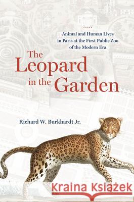 The Leopard in the Garden: Animal and Human Lives in Paris at the First Public Zoo of the Modern Era