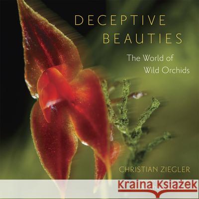 Deceptive Beauties: The World of Wild Orchids