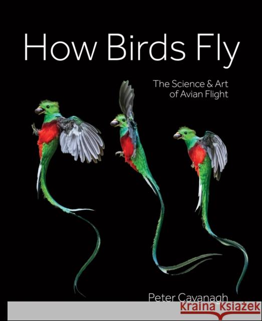 How Birds Fly: The Science and Art of Avian Flight