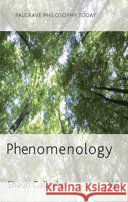 Phenomenology