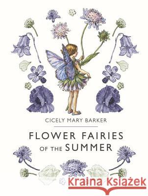 Flower Fairies of the Summer