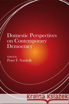 Domestic Perspectives on Contemporary Democracy