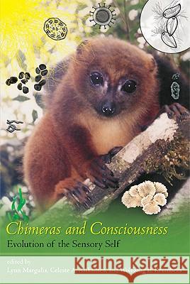 Chimeras and Consciousness: Evolution of the Sensory Self