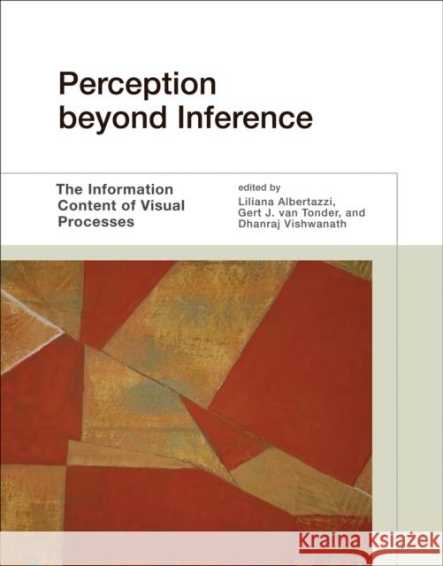 Perception beyond Inference: The Information Content of Visual Processes